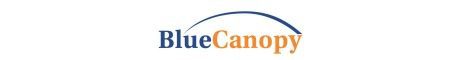 Blue Canopy Banner Ad